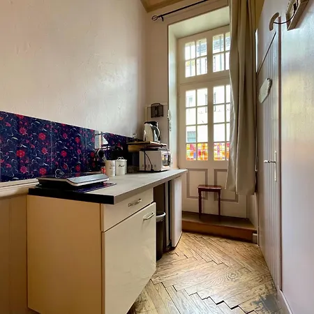 Cote Cite - Parking Prive - 100m Cite Medievale Appartement
